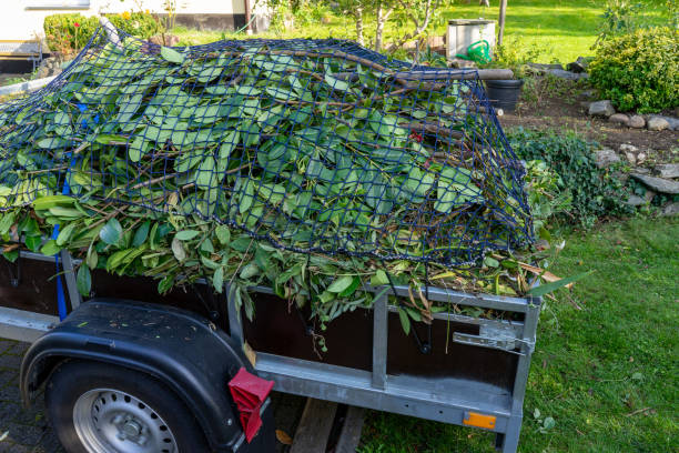 Best Estate Cleanout  in Mill City, OR